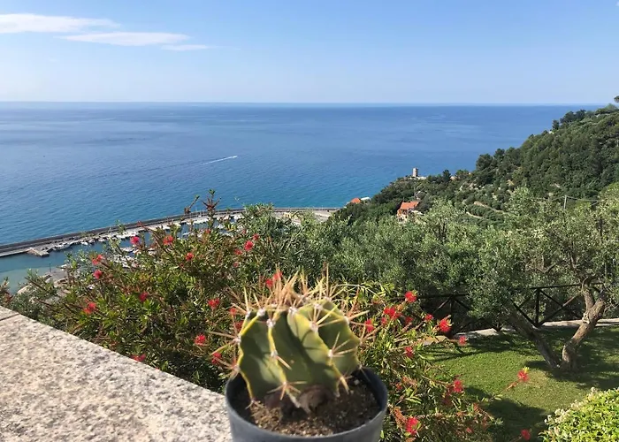 Villa Degli Ulivi B&B