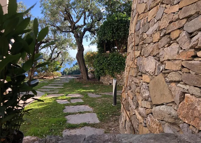 Villa Degli Ulivi B&B