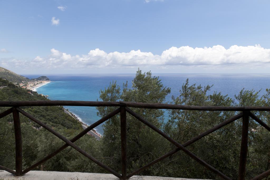 Degli Ulivi *