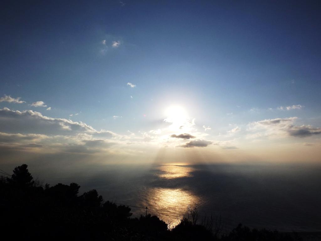 Degli Ulivi